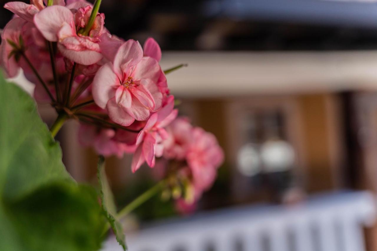 Casa Graciela Hotel Patzcuaro Ngoại thất bức ảnh
